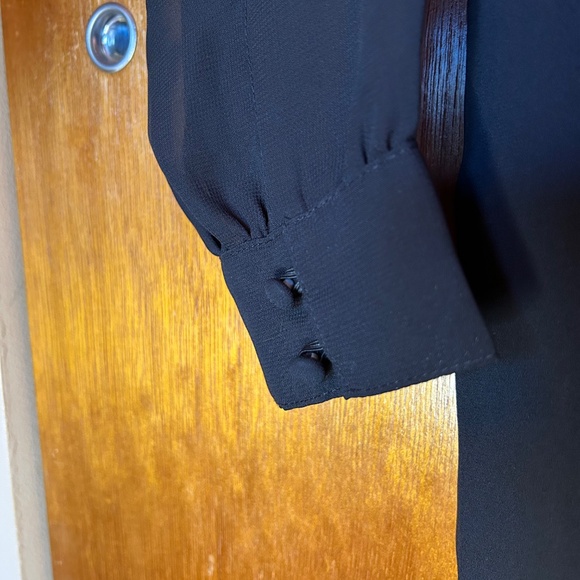 Deep V Black Jumpsuit with Sheer Sleeves by Forever 21 - Picture 5 of 10